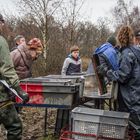 Pêcherie d'un étang dans l'Ain