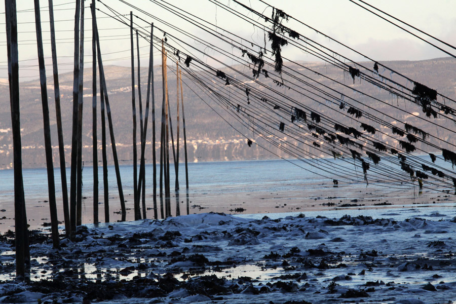 Pêches à Anguilles sur le St-Laurent