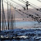 Pêches à Anguilles sur le St-Laurent