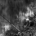 Pêcheur bravant la pluie