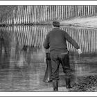 Pêcheur chanceux...ou pas...