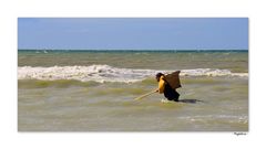 Pêcheur de crevettes