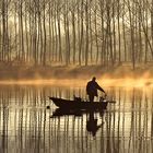 pêcheur de l'aube