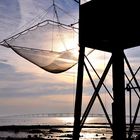 Pêcheur de lumière (île de Ré)