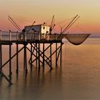 pêcheur de rosé du soir