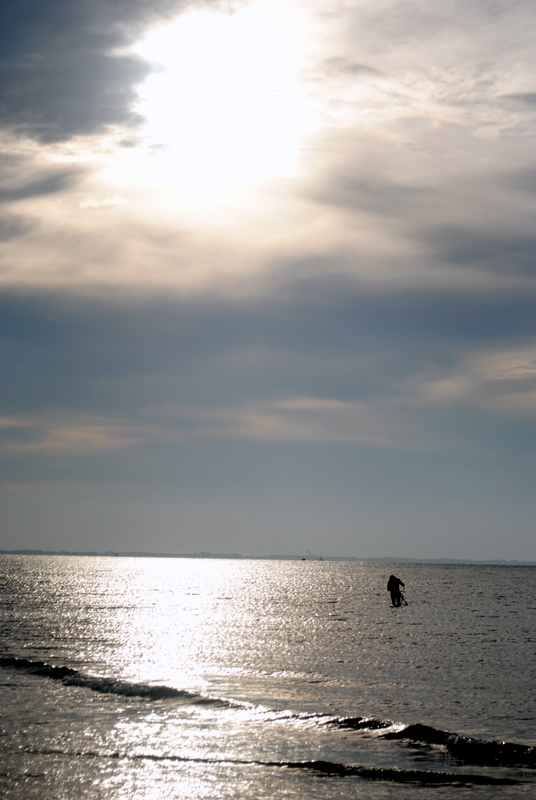 PÊCHEUR DE TELLINES