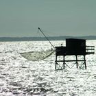 Pêcheur de vagues