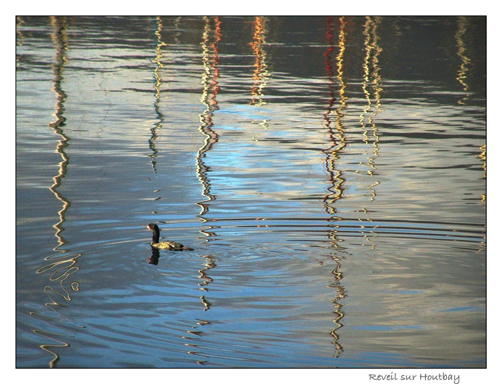 pêcheur solitaire