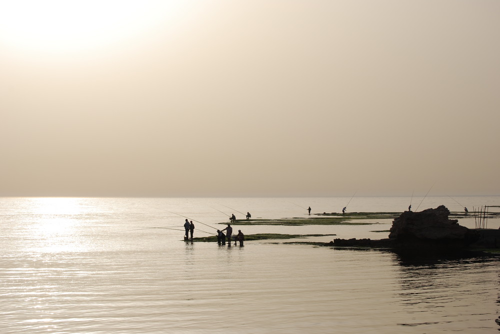 Pêcheurs dans le port de Byblos (Liban)