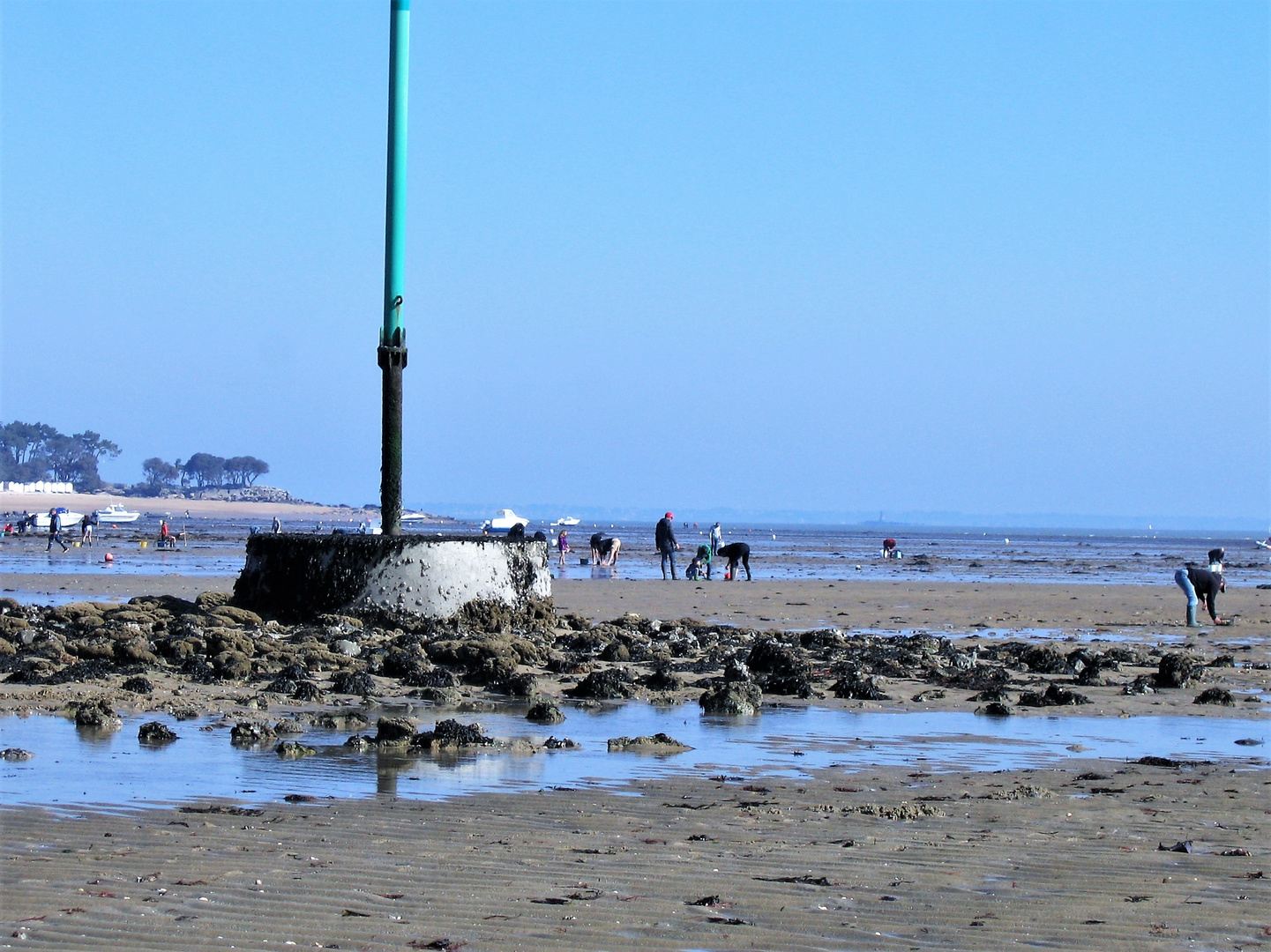 Pêcheurs de coquillages.