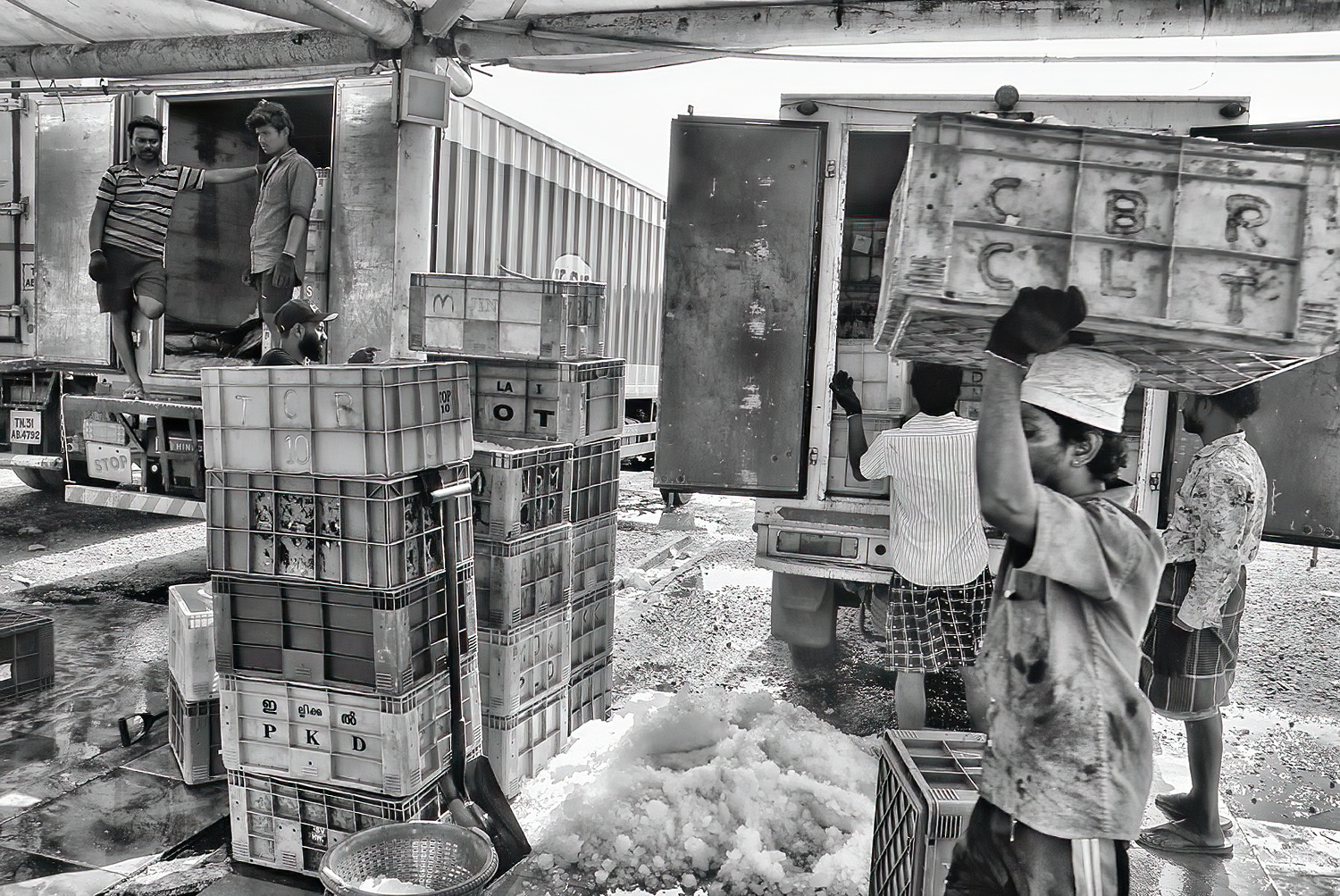 Pêcheurs - Port de Chennai