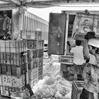 Pêcheurs - Port de Chennai