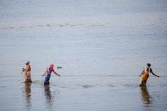 Pêcheuses au petit matin, Rameshwaram