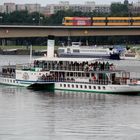 PD Leipzig vor der Carolabrücke in Dresden