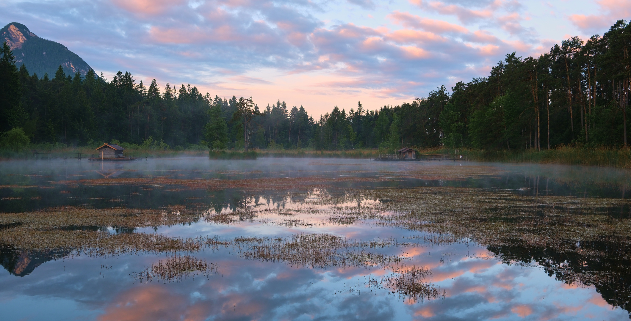 Peace and quiet at the pond