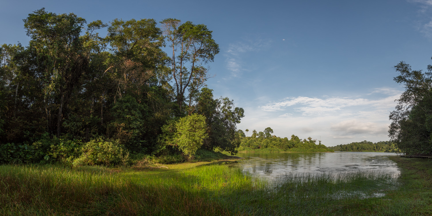 Peace at MacRitchie Reservoir