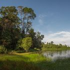 Peace at MacRitchie Reservoir