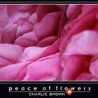 Peace of Flowers 0024