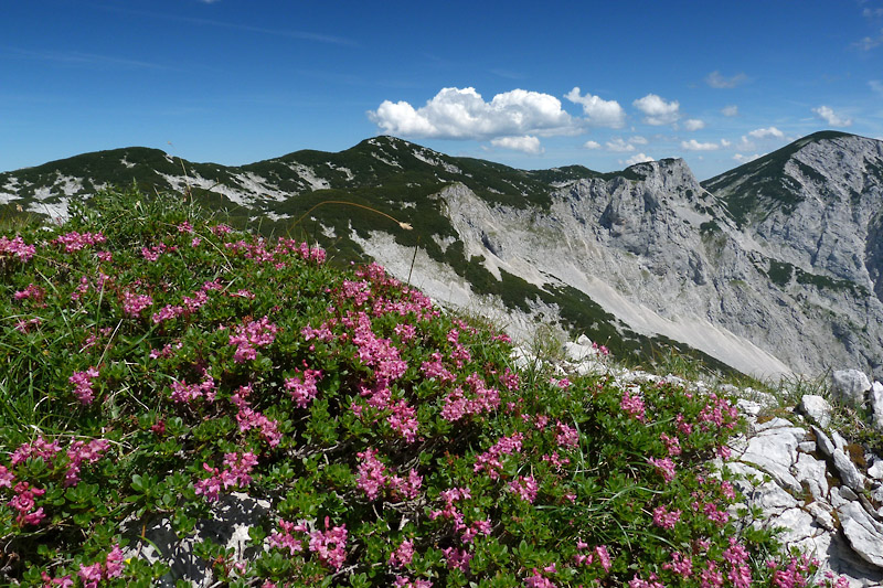 Peace of the mountains