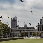 Peace: Tauben vor dem Hiroshima Memorial Centre