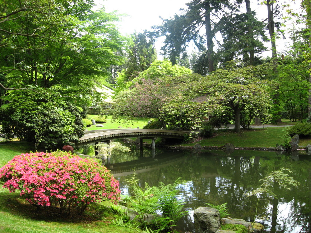 Peaceful day in Japanese Garden