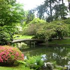 Peaceful day in Japanese Garden