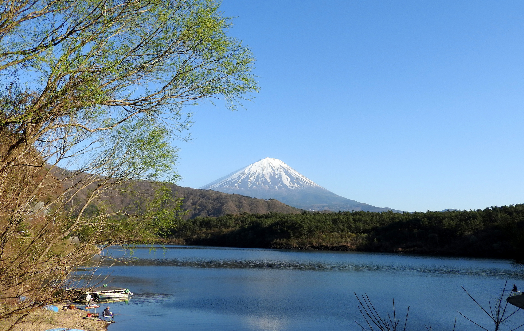 peaceful lake  Saiko and view of Mt. Fuji