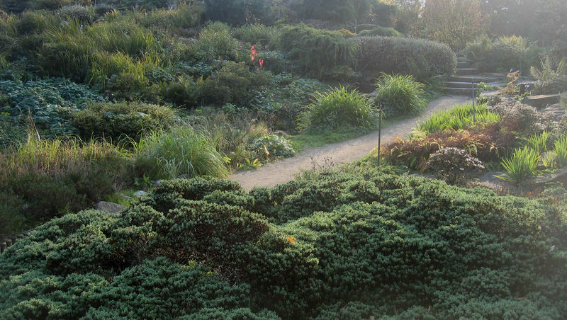 Peaceful Path