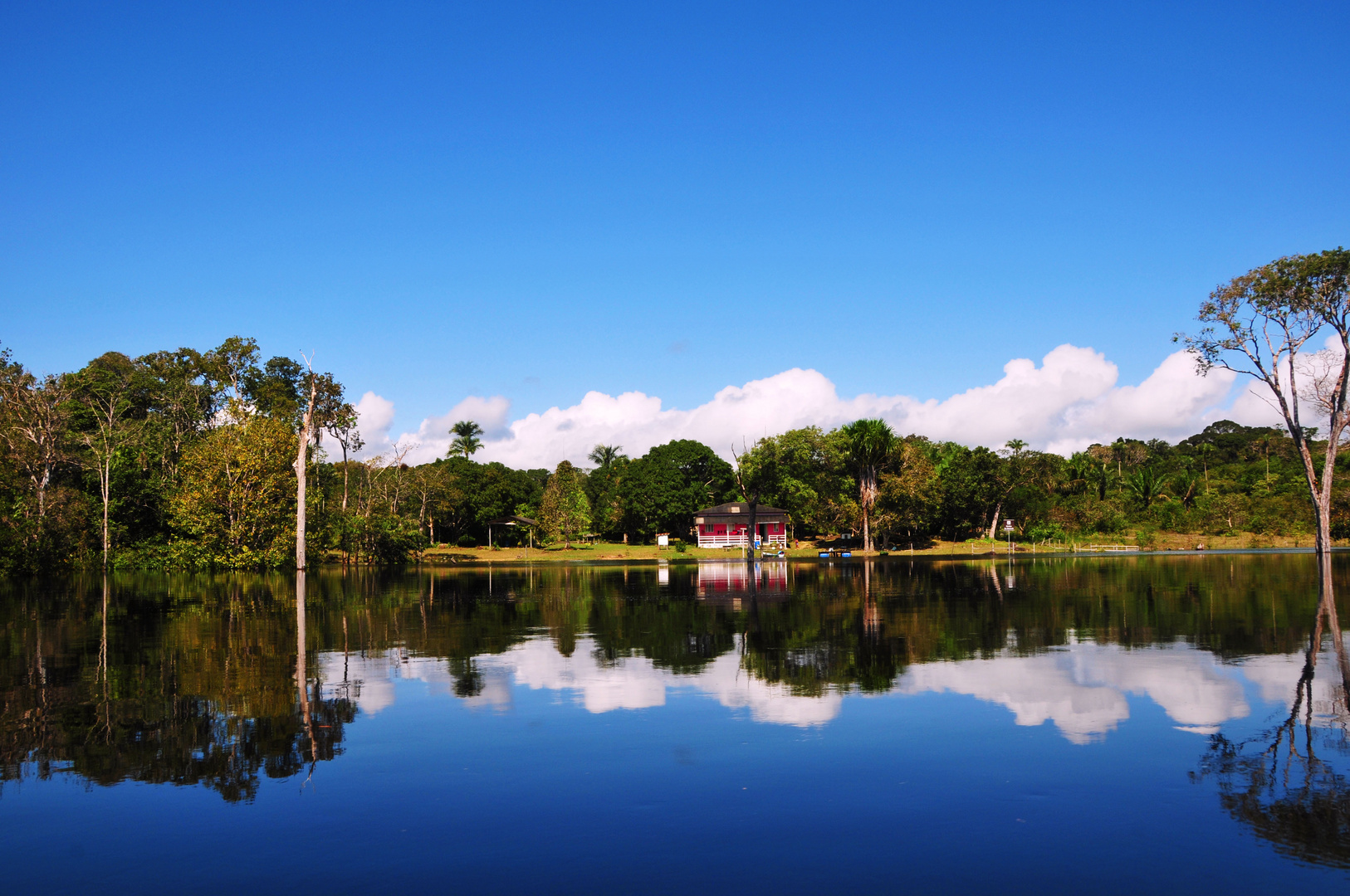 Peaceful Rio Negro