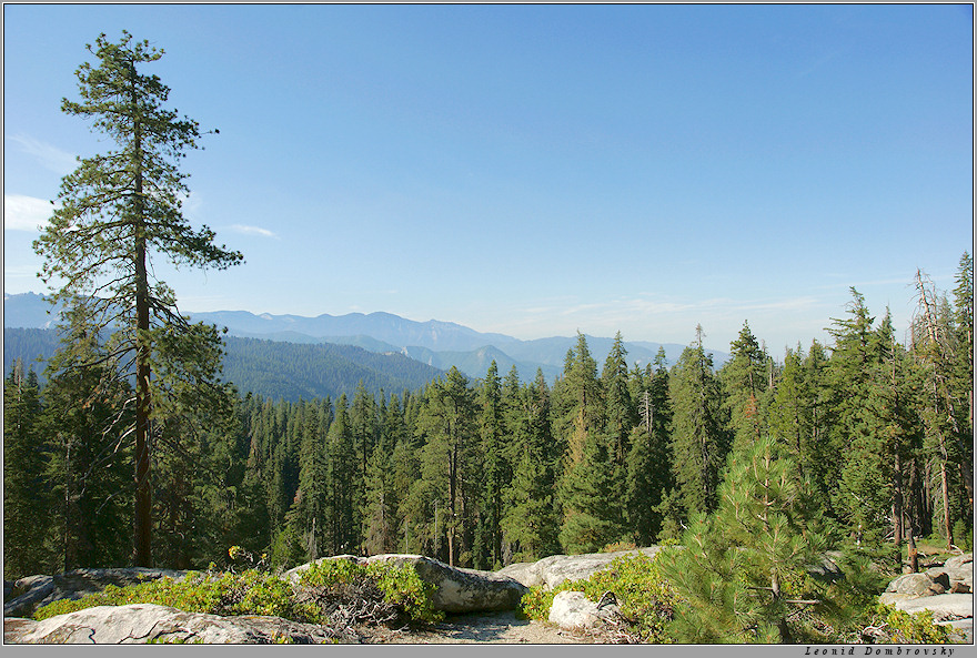 Peaceful view