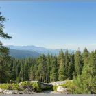 Peaceful view