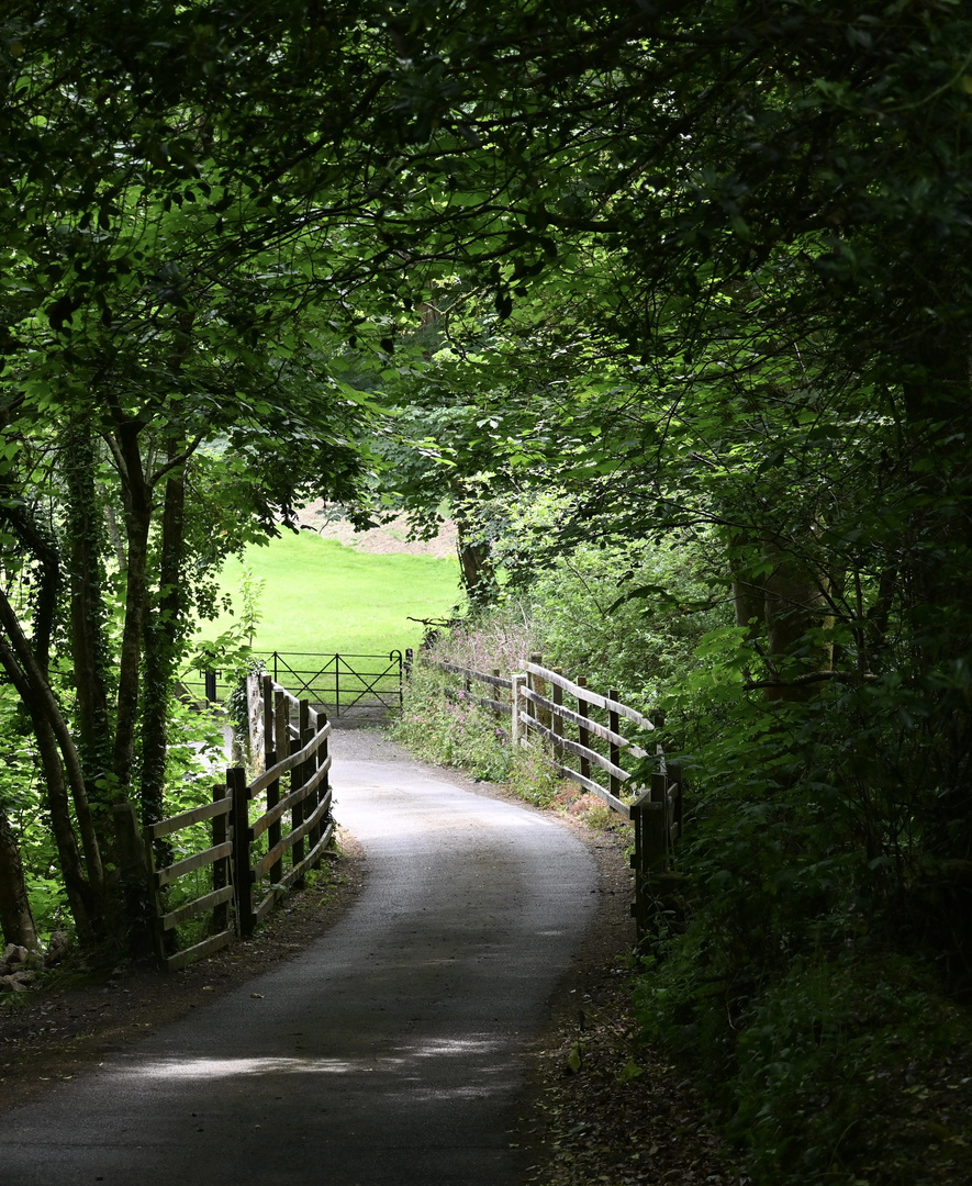 Peaceful walk