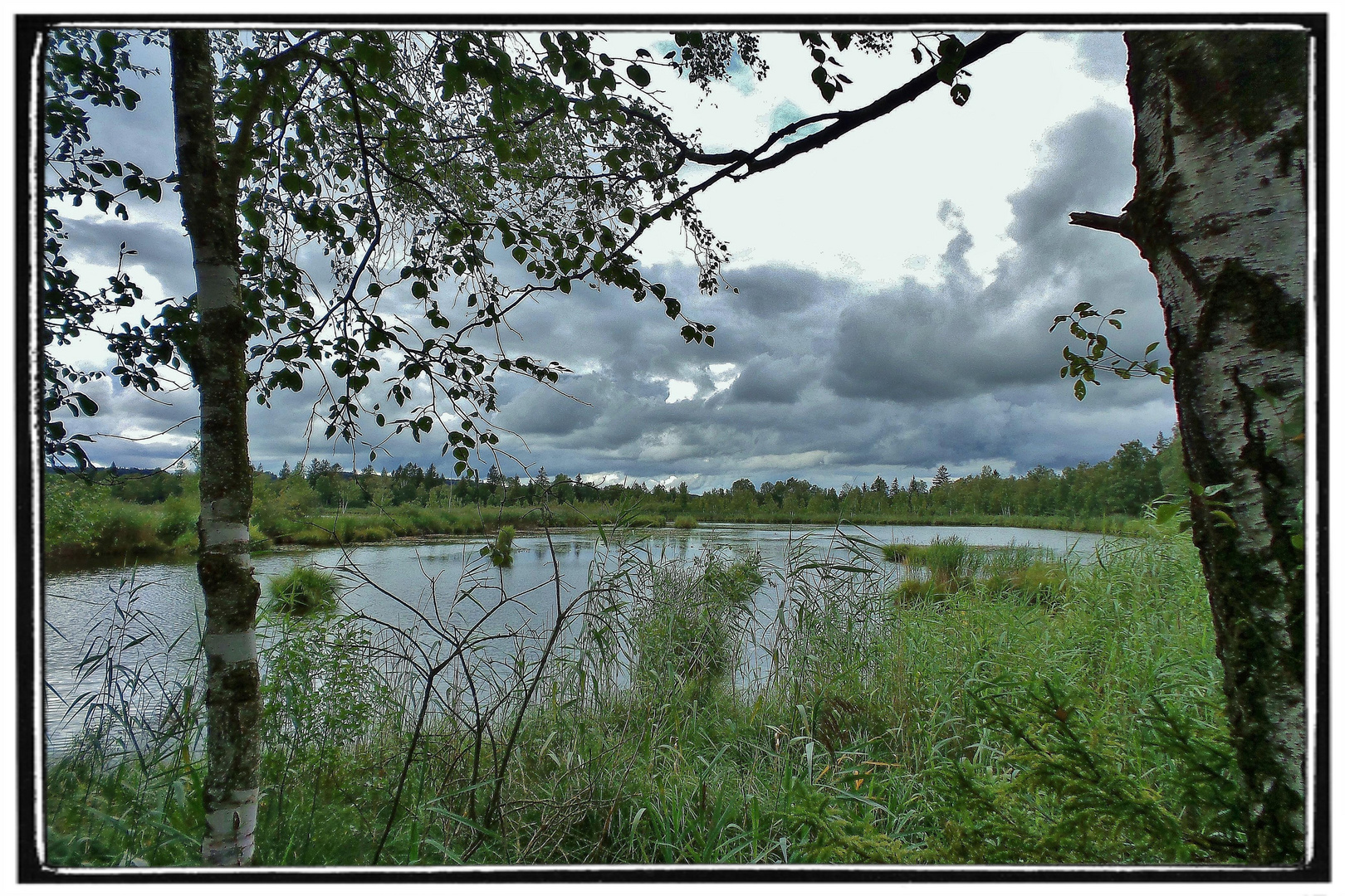 peaceful waters