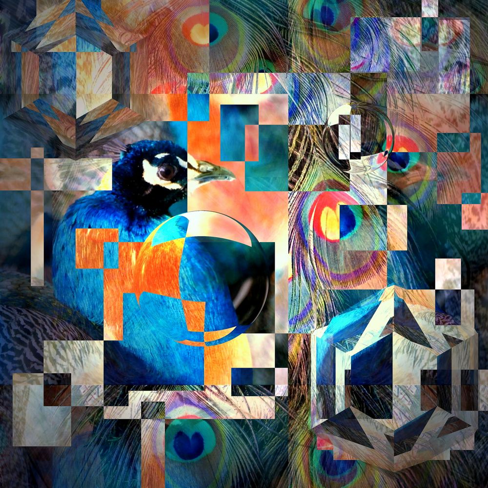 «Peacock»