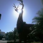 Peaking Sun and a Reindeer