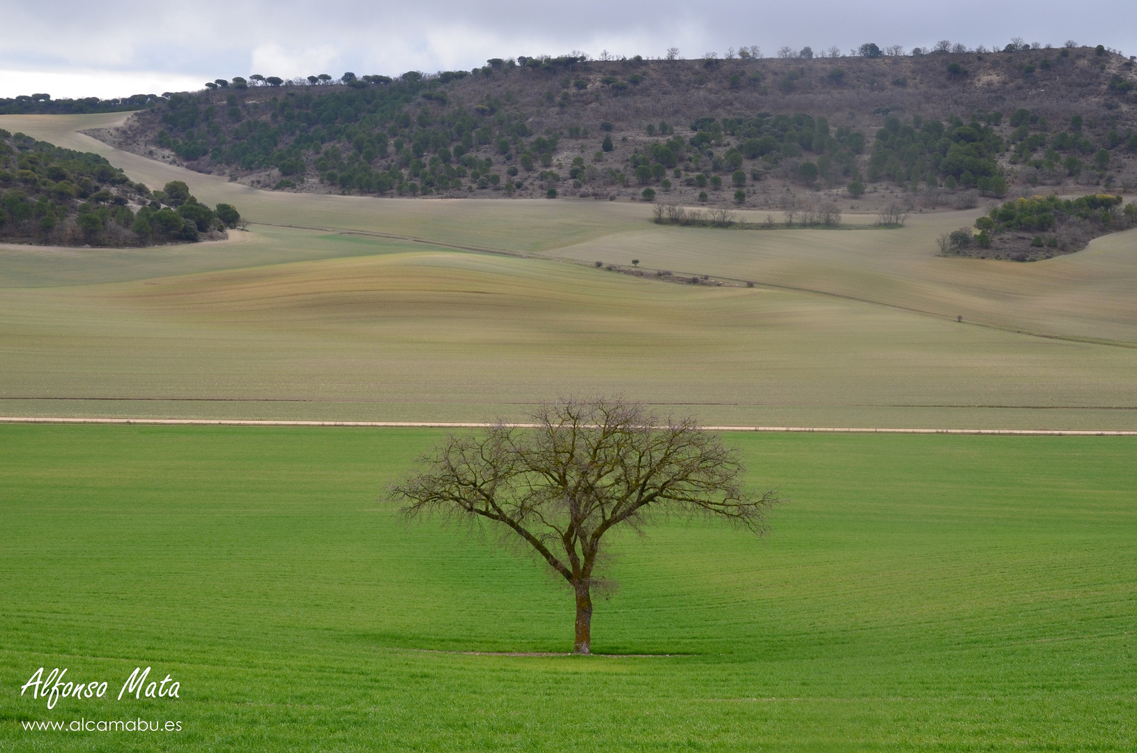 Peñalba