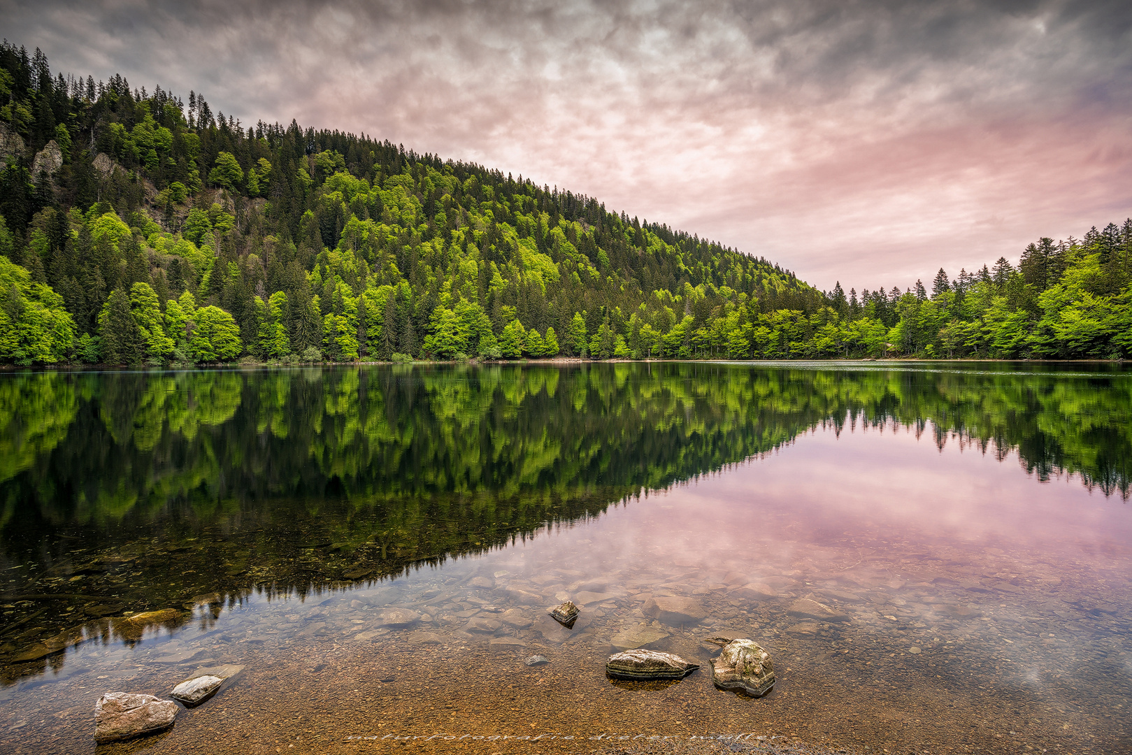 [ pearl of the black forest ... ]