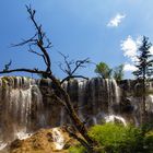 Pearl Shoal Waterfall