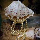 Pearls and Shells.......