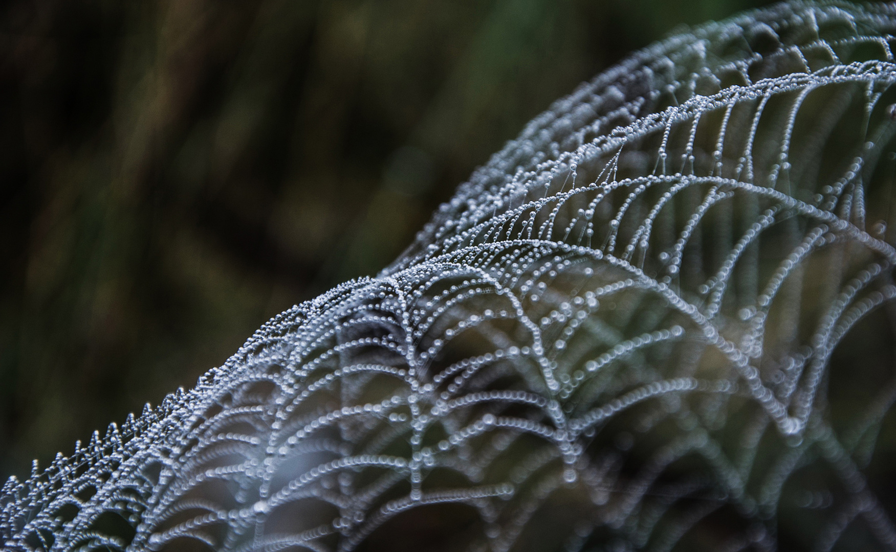 Pearls