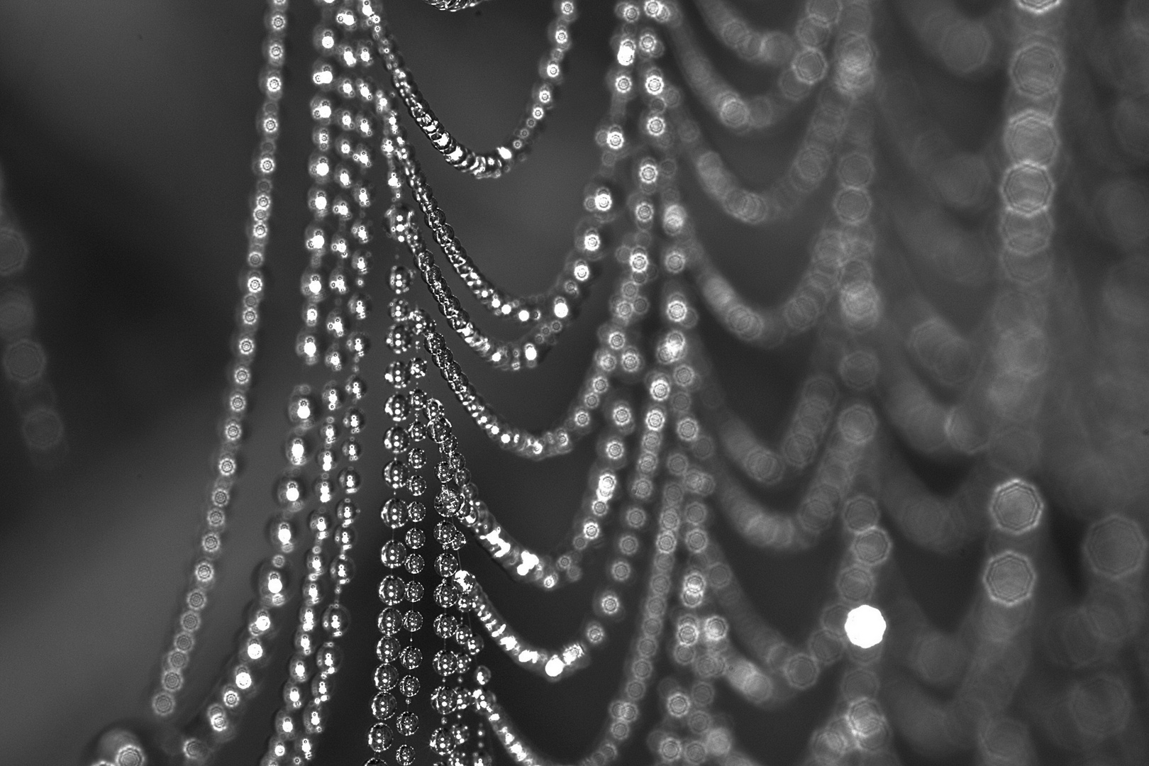 ...pearls in nature...