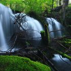 Pearsonney Falls, OR