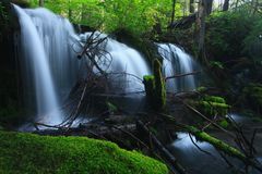 Pearsonney Falls, OR