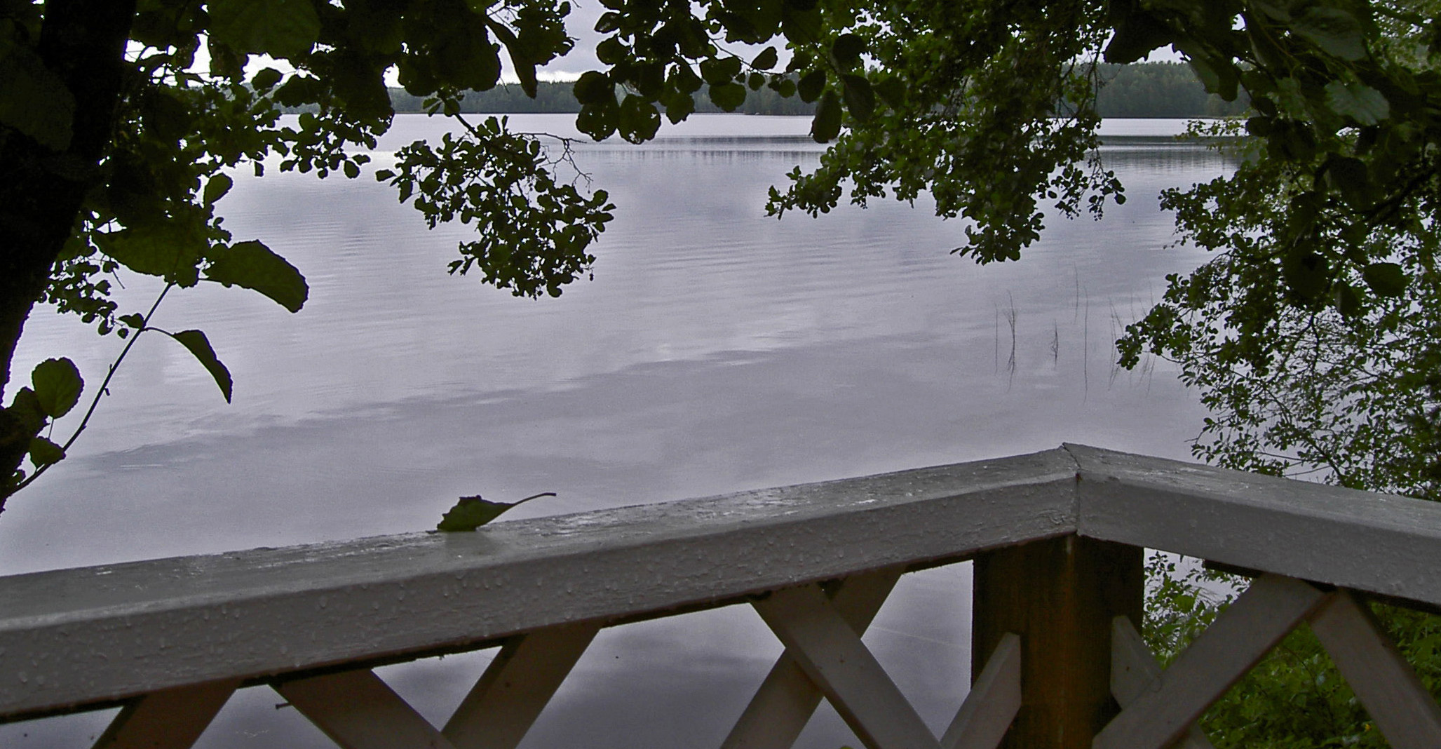 Peasefull and silence on the coast of summercottage