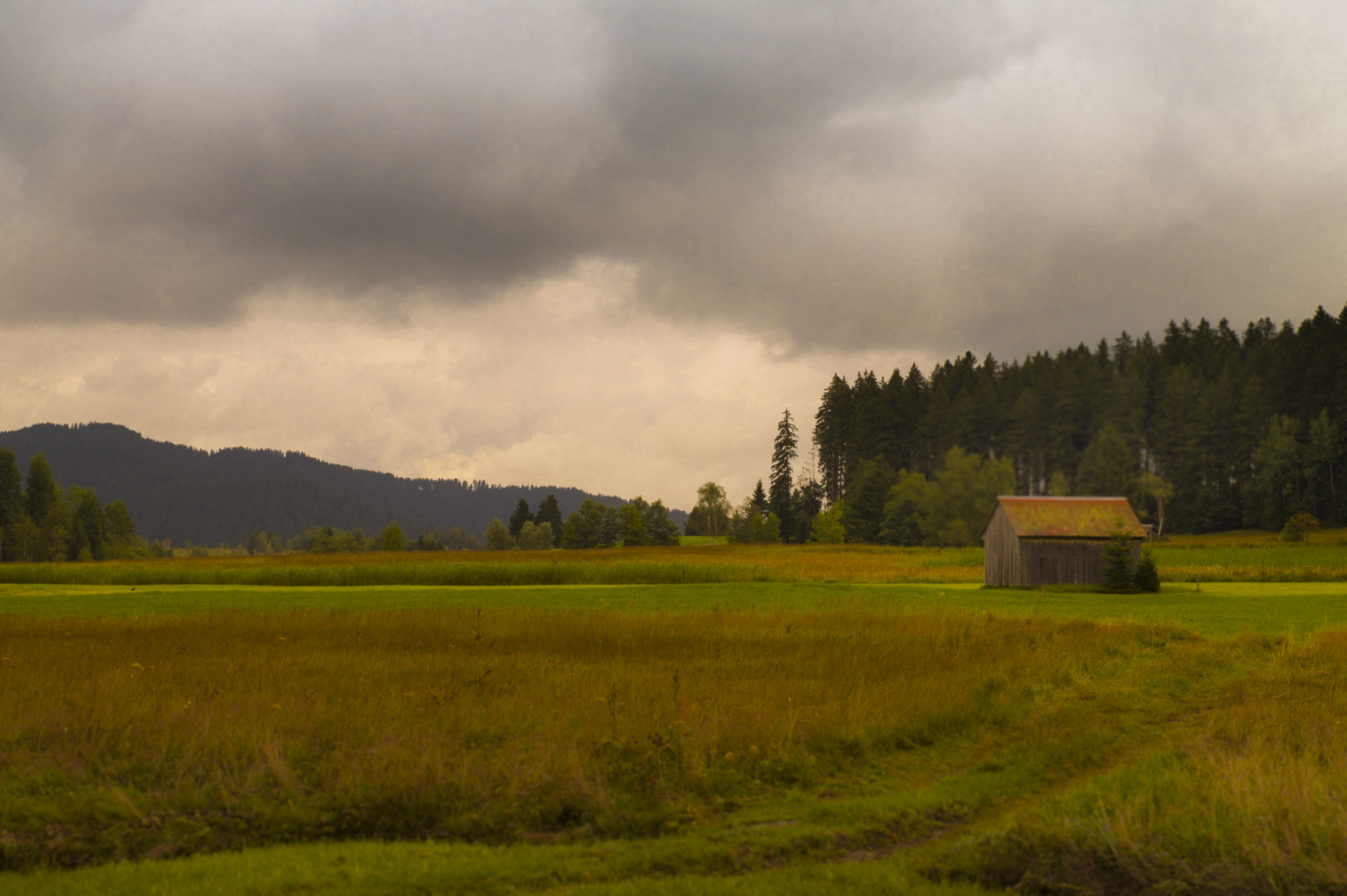 Peat bog