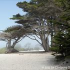 Pebbles Beach Carmel