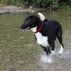 Pebbles im Wasser