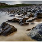 ~~ Pebbles & Rocks ~~