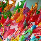 peces de colores