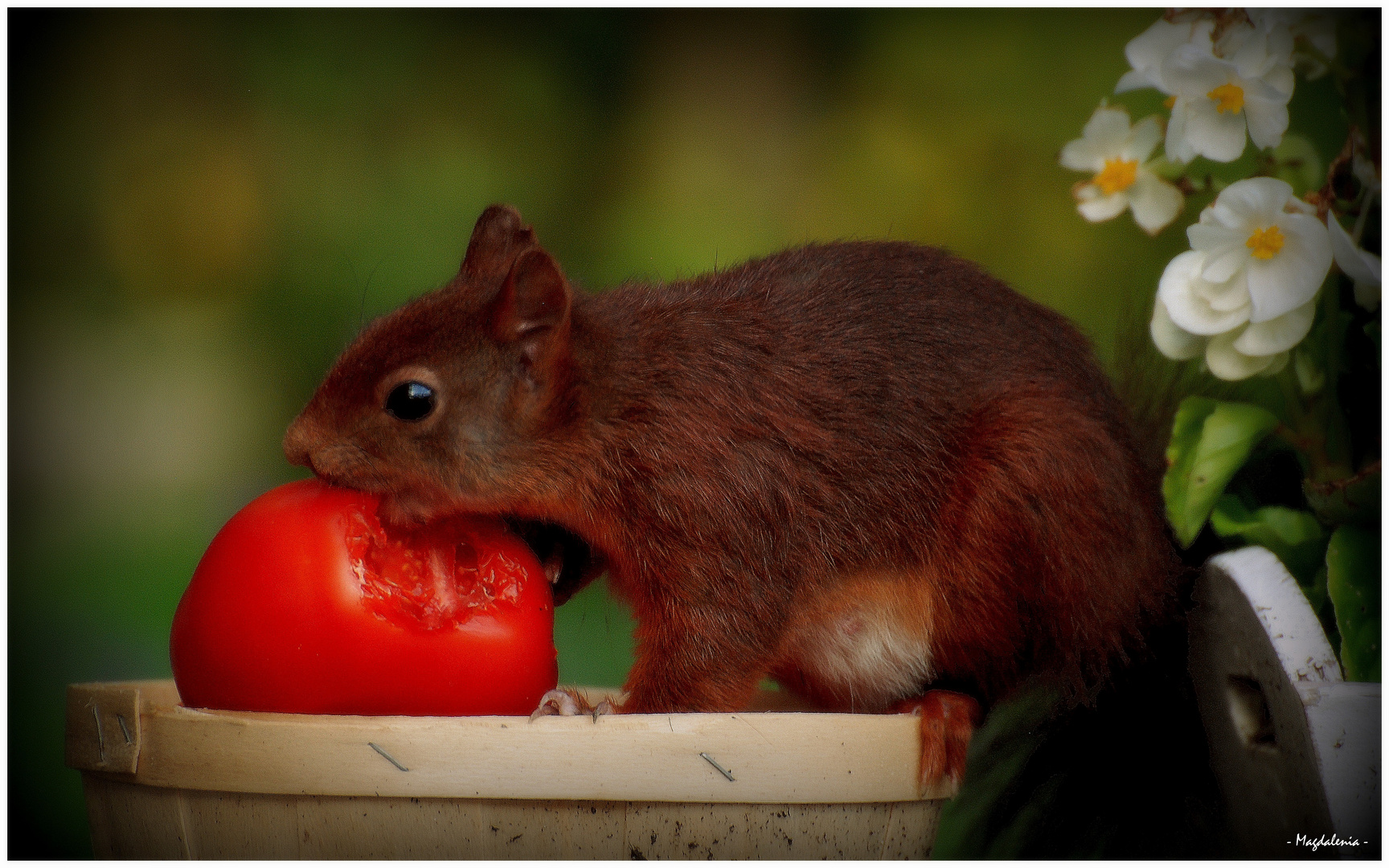 Péché de gourmandise